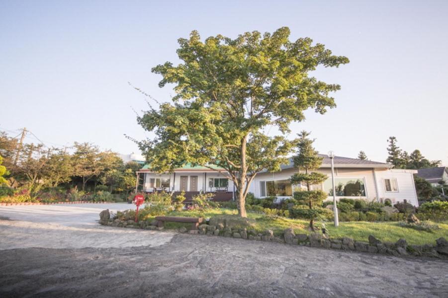 Sunyang Village Pension Csedzsu Kültér fotó